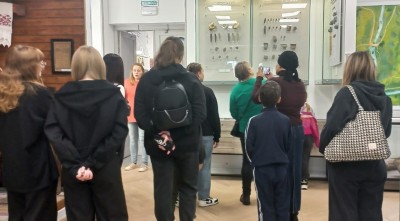 �����������